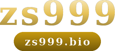 zs999 logo